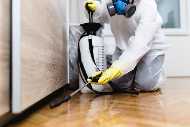 Best Pest Removal Services  in Riverton, IL