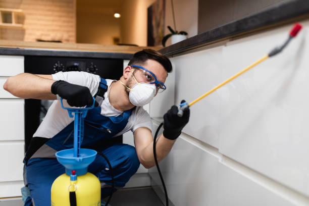 Best Pest Control Near Me  in Riverton, IL