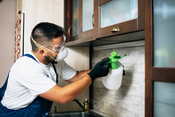 Best Insect Control  in Riverton, IL