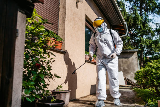 Best Affordable Pest Control Services  in Riverton, IL
