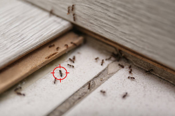 Best Wildlife Control Services  in Riverton, IL