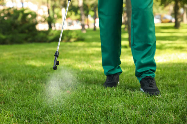 Trusted Riverton, IL Pest Control Experts