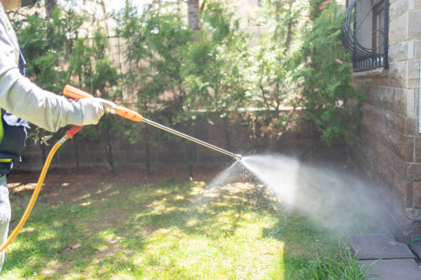 Best Flea Control Services  in Riverton, IL