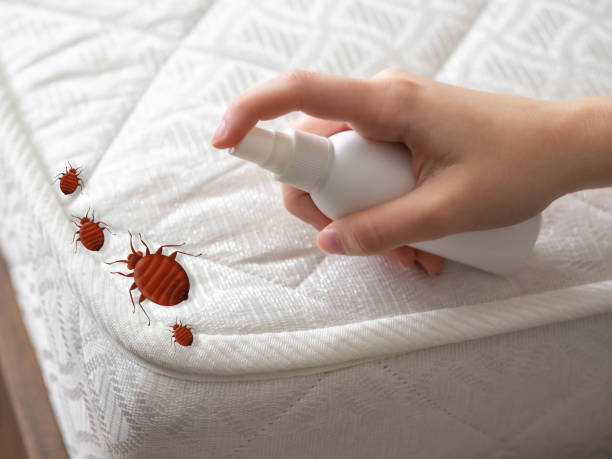 Best Pest Control Near Me  in Riverton, IL