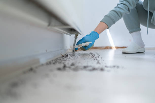 Best Emergency Pest Control  in Riverton, IL
