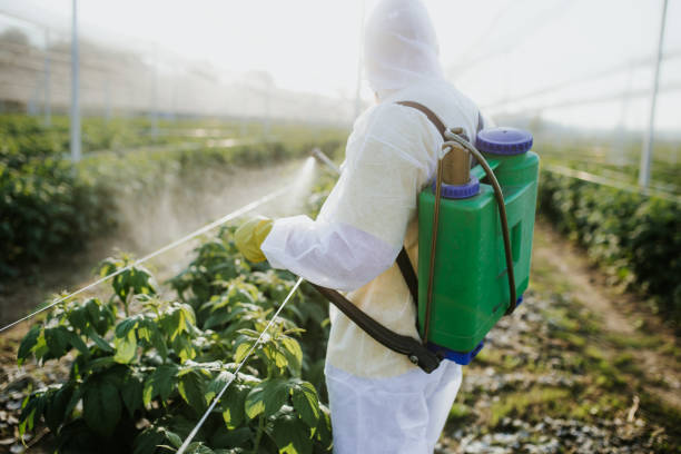 Best Affordable Pest Control Services  in Riverton, IL